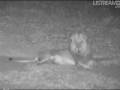 videos de Manyeleti Brothers One Injured At Nk 8th Jan 09 Part 1