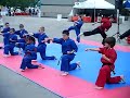 Karate America at Summerfest!