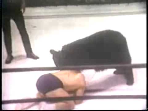 Collection - Victor the Wrestling Bear