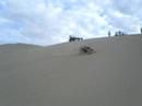Caida espectacular