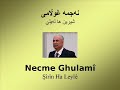 Necme Ghulamî - Shîrîn ha Leylê Necme Ghulamî - Shîrîn ha Leylê