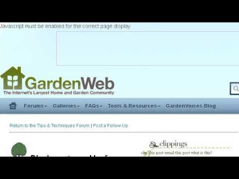 how to plant jade leaves
