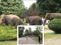 videos de Canada African Lion Safari Flamborough Part 1