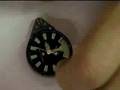 smontaggio e rimontaggio orologio aqualand1\7