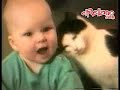 Caídas y tonterías de gatos