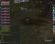 Dems pvp(ignis)