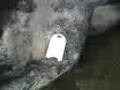 Destruccion de un V180!!