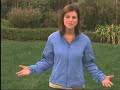 discovery health, april 5, 2007

natural living expert, sara snow, highlights a family that's sowing a revolution right in their own back(front)yard.  she explains how maintaining a perfect lawn is harmful to the environment and that there's an alternative to a typical 