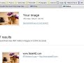 TinEye.com - Walkthrough TinEye.com - Walkthrough