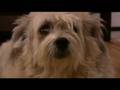 videos de Rusty and Zipster