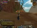 wolf 40 level papyon cafer