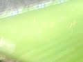 Newcastle Vs Watford