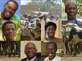 A Living from Livestock - Burkina Faso (English)