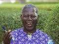A Living from Livestock - Burkina Faso (English)