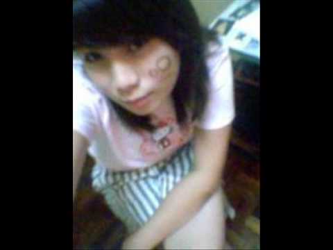 bidel
