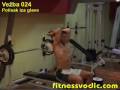 videos de FitnessVodic.com: Potisak iza glave