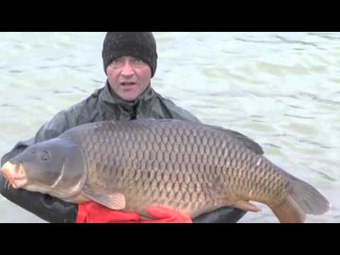 Jonchery Stocks 2 x 50lb Carp, Jan 2014 Jonchery Stocks 2 x 50lb Carp, Jan 2014