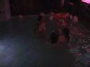 Parish Pool Party Parish Pool Party