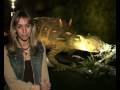 Wildlife presenter Michaela Strachan explores the exhibits at the Natural History Museum