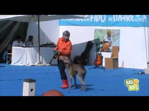 Vedi il video