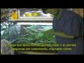 I GROW CHRONIC - PART 1 (legendado)