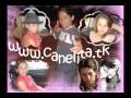 videos de Canelita Bulerias