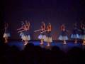videos de Carol - Copellia III