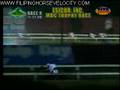 videos de RACE 9 ESICOR, INC-MBC TROPHY RAC. - FOND EMBRACE 11/23/2008