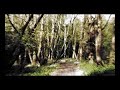 Iceni - Journey the Pathways Unknown (Pre-Demo Version)