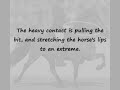 Natural and Artificial Gaits of the Icelandic Horse Natural and Artificial Gaits of the Icelandic Horse