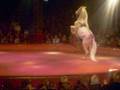 Cheval cirque.wmv