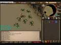 dizzyd9 solos kq