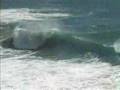 Surf Portugal Bluebeard - Wipeouts