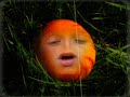Love Sick Orange - 1st Go @ Rotoscoping Love Sick Orange - 1st Go @ Rotoscoping