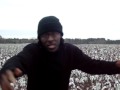 Tendo GTV: 2009 Slave