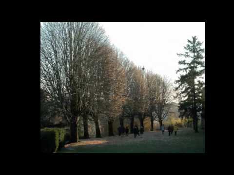 Image de prévisualisation YouTube