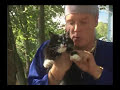 TPB - J-ROC Kitty Turntables (Deleted Scene)