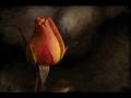 S'agapo - Tzeni Vanou