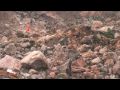 In Beichuan, the Agony of Surviving In Beichuan, the Agony of Surviving