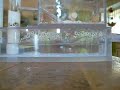 humidification nid tubular