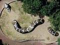 At the Zoo - Google Earth - details under (More info)