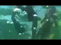 When Sting Rays Attack! 2