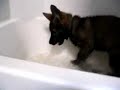 Saskia von der haus Gill - bath time