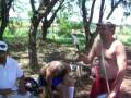 videos de tocida jn