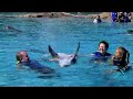 Swim with the Dolphins at Discovery Cove