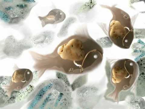 surreal fish (spherical ambient chill out mix)