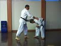 GOJU RYU KARATE - TRAINING TECHNIQUES 2 GOJU RYU KARATE - TRAINING TECHNIQUES 2
