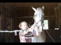 RIP _ Norman, Mavrick, Shadow, and Peaches