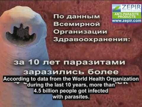 Parasites - part 3