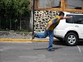 crazy-dog-perra-de-sonia-p.html